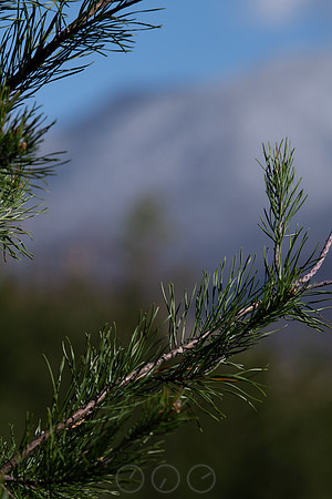 20260312-144214-_DSC1424