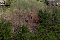 20260312-141738-_DSC1308