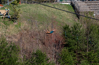 20260312-141737-_DSC1307