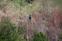 20260312-141551-_DSC1292