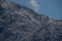 20260312-140411-_DSC1239