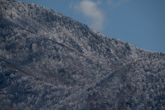 20260312-140411-_DSC1239