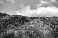20260312-140349-_DSC1230