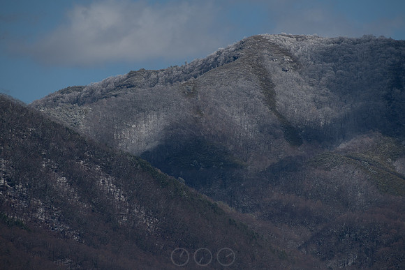 20260312-140116-_DSC1212