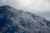 20260312-135721-_DSC1177