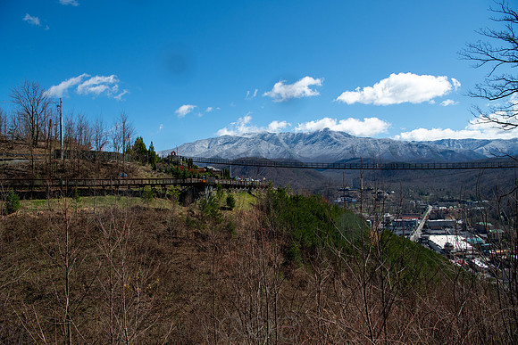 20260312-125258-_DSC1051